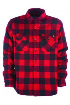 Chemise Dickies Lansdale shirt(127988505)