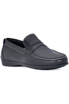 Chaussures IgI CO CAMBRID NERO(127920183)